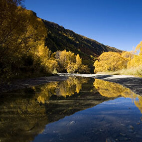 Autumn Colours, Central Otago