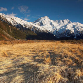 Grasslands of Mount Cook National Park