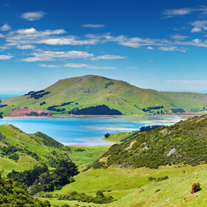 Aerial view of Otago Peninsula on a sunny day