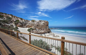 Seal Bay Kangaroo Island
