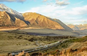 The TranzAlpine train