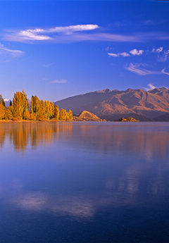 Roys Bay in Lake Wanaka
