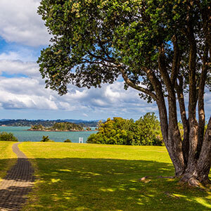 Path along Waitangi Park in Bay of Islands