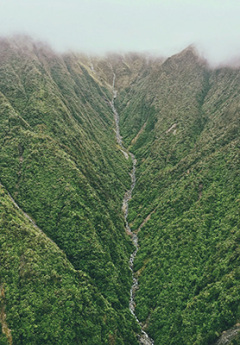 Waterfall down the lush green West Coast