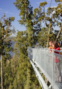 People exploring the West Coast Treetop Walk in Hokitika