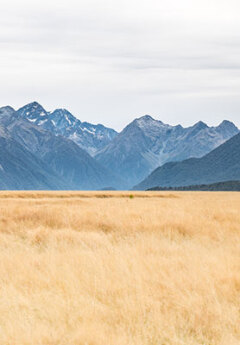 Views on the road to Milford Sound