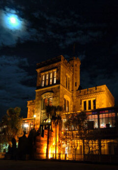 Larnach Castle lit up in yellow lights under the night sky