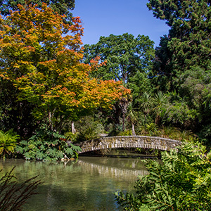 Christchurch botanic gardens