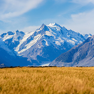 Image of golden tussock grass and Mt Cook National Park in the background