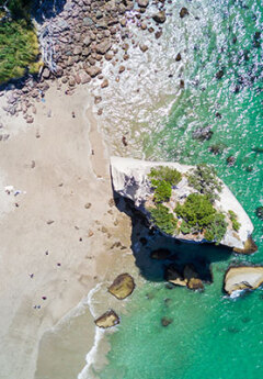 Coromandel Peninsula, New Zealand