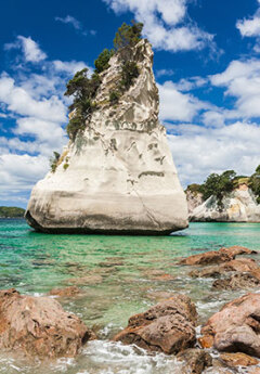 Coromandel Peninsula, New Zealand