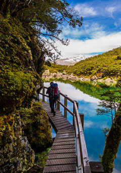 Routeburn Track, South Island, New Zealand