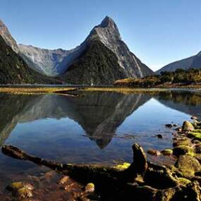 Take a journey through Fiordland and fly over the beautiful Milford Sound