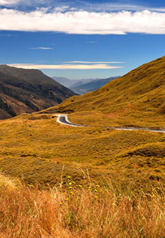 A road breaks through the yellow tussock with a mountain vista