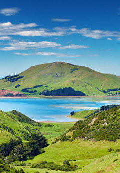 Otago Peninsula, Dunedin, New Zealand