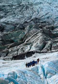 Group of travelers ice climbing on Franz Josef Glacier, West Coast
