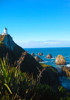 Dramatic coastal views from Nuggart Point in the Catlins