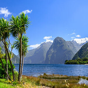 Milford Sound, Fiordland National Park