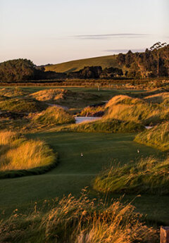 Golf at Windross Farm, Auckland