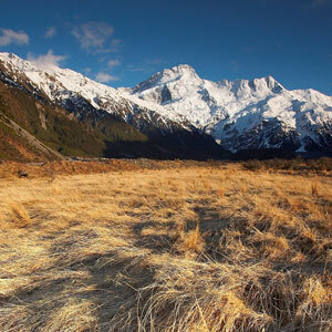 Tussock grass with the backdrop of Aoraki Mt Cook