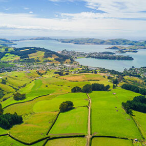 Views of Dunedin and Otago Bay