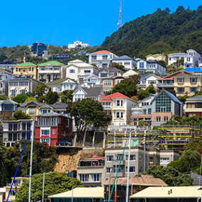 The vibrant city of Wellington