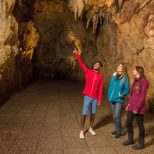 Exploring the Waitomo limestone caves