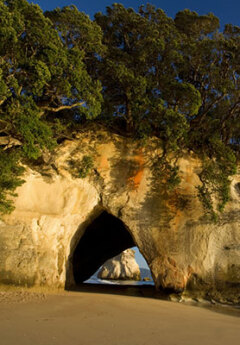 Coromandel, New Zealand