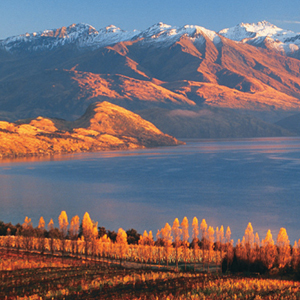 Wanaka's autumn colours