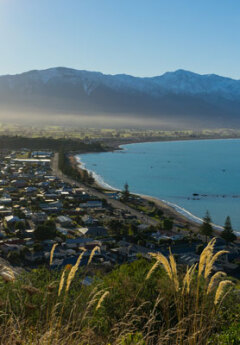 View of Kaikoura