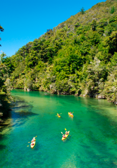 Ariel view of kayakers in the Abel Tasman