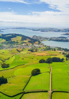Ariel view of Dunedin