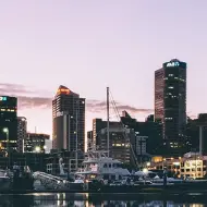 Auckland View