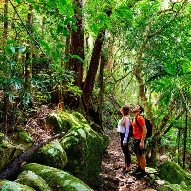 Visitors Hiking In Lamington National Park, Queensland