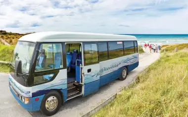 Pure Discoveries Coach at the beach in New Zealand