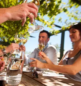 Guests toasting at a winery with New Zealand Coach Tours