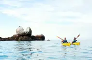 Sea Kayak, Stroll, Seals & Sail Full Day Tour with Abel Tasman Sailing Adventures - Lunch included