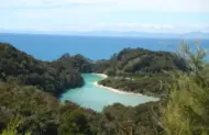 Abel Tasman Water and Walk Tour with Wine, Art & Wilderness - Includes Lunch