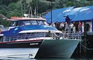 Akaroa Harbour Nature cruise