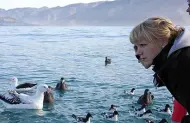 Albatross Encounter Kaikoura