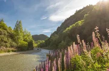 Golden Otago Tour - Day 2