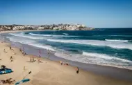 Bondi-Bronte Culture & Coast Small Group Walking Tour with Dave's Travel Group