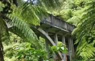 Bridge to Nowhere Jet Boat Tour