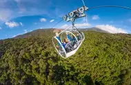 Cable Bay Adventure Park - Skywire Experience