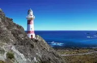 Cape Palliser and the South Coast