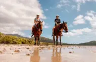 Cape Tribulation Beach Horse Ride