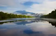 Early Morning Cruise with Daintree Boatman Wildlife Cruises