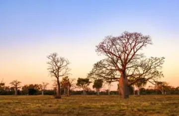 Outback Spirit - Jewels of the Kimberley - Day 3