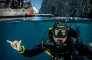 Dive! Tutukaka and Diving - lunch included