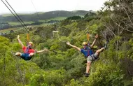 EcoZip Adventures Waiheke Island